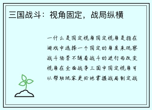 三国战斗：视角固定，战局纵横